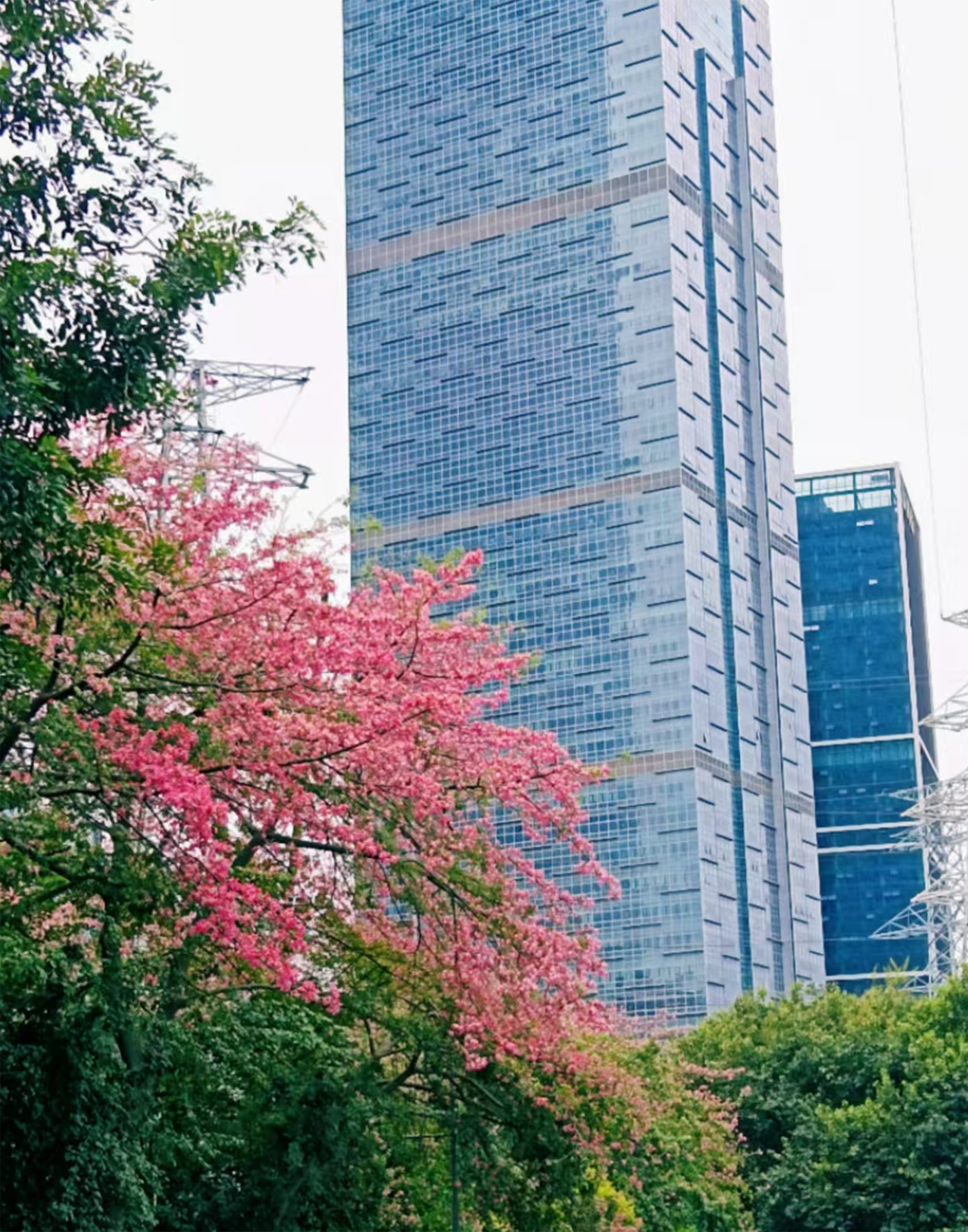 圖片關(guān)鍵詞